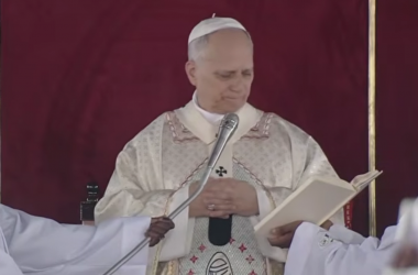 Papa Leão: a fé dá ao cristão a força para interagir com o mundo